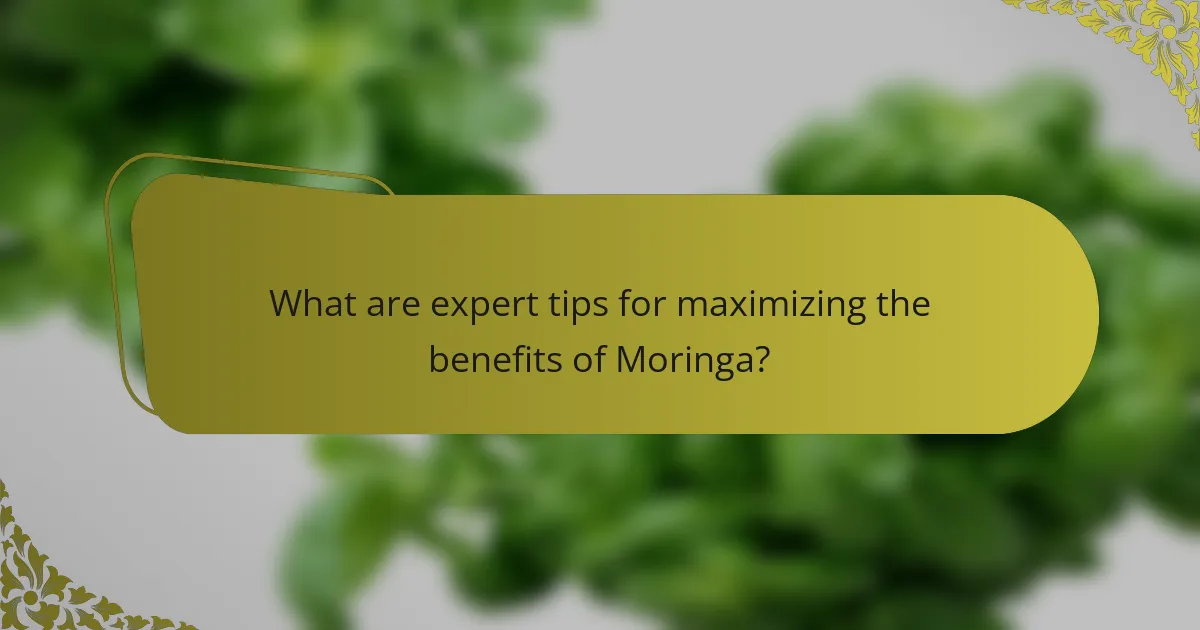 What are expert tips for maximizing the benefits of Moringa?