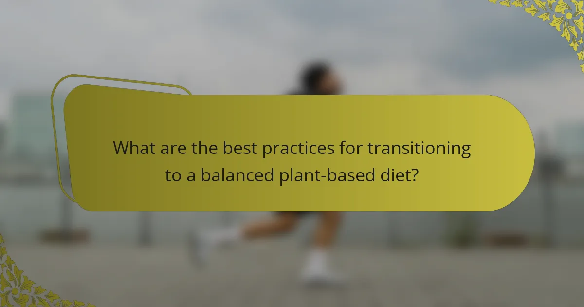 What are the best practices for transitioning to a balanced plant-based diet?