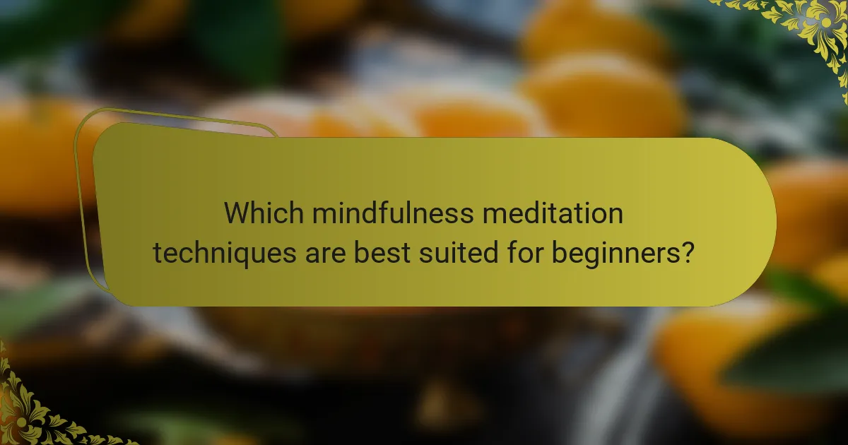 Which mindfulness meditation techniques are best suited for beginners?
